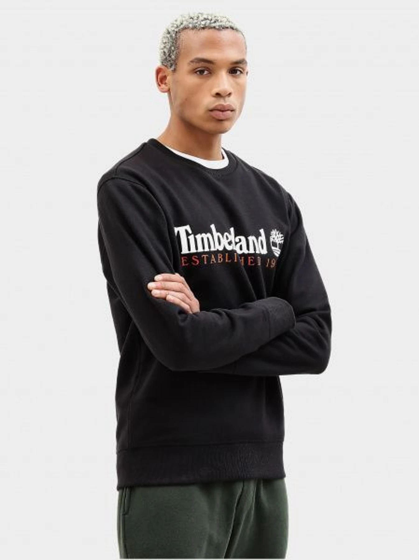 Худи и свитшоты Timberland модель TB0A1Y3B001 Фото