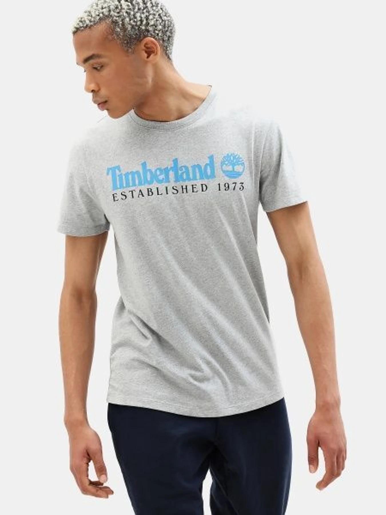 Футболки і поло Timberland модель TB0A1YVG052 Фото