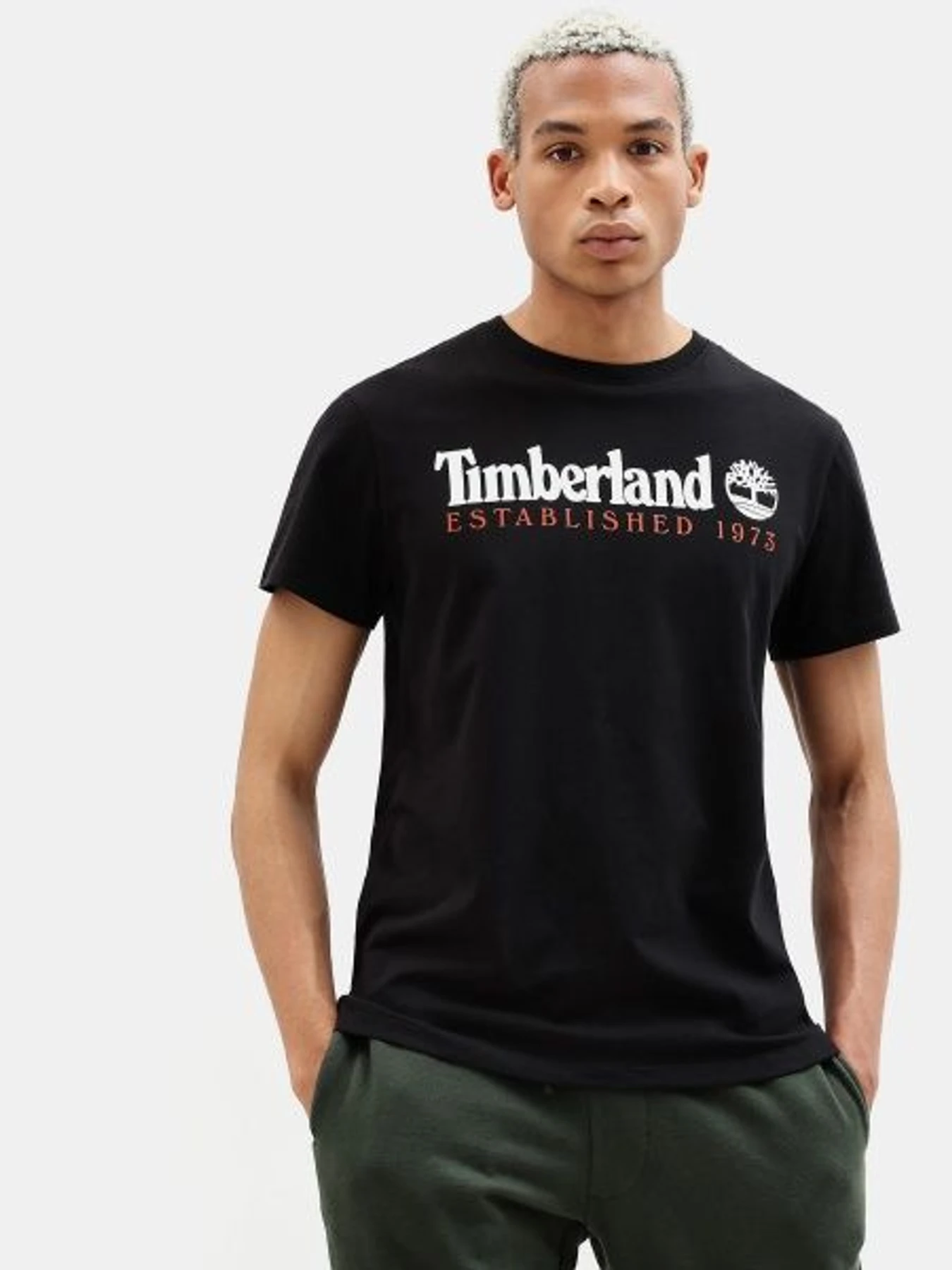 Футболки і поло Timberland модель TB0A1YVG001 Фото