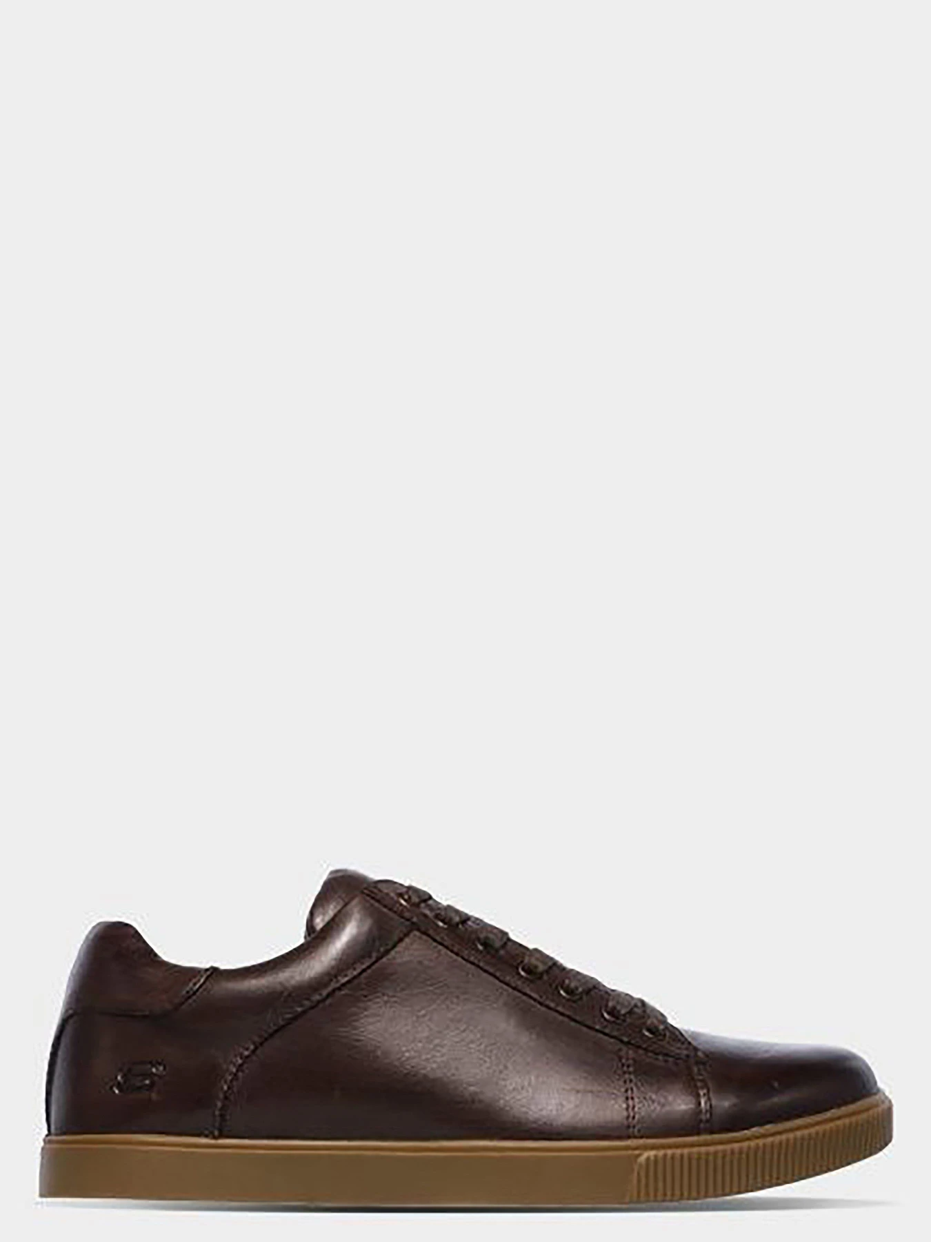 Кеди Skechers модель 65323 CHOC Фото