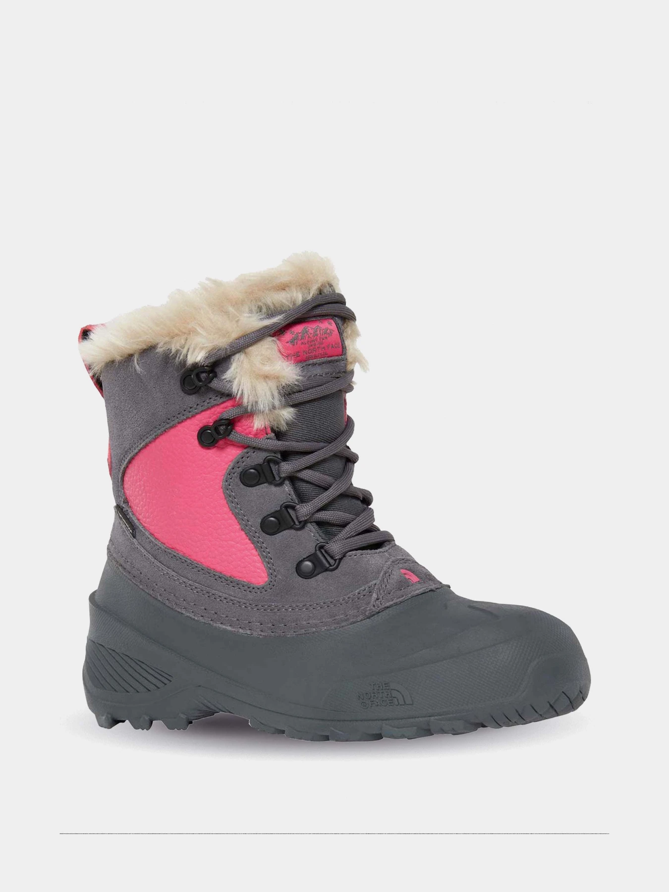 Ботинки и сапоги The North Face Shellista Extreme модель NF0A2T5VH7D1 Фото