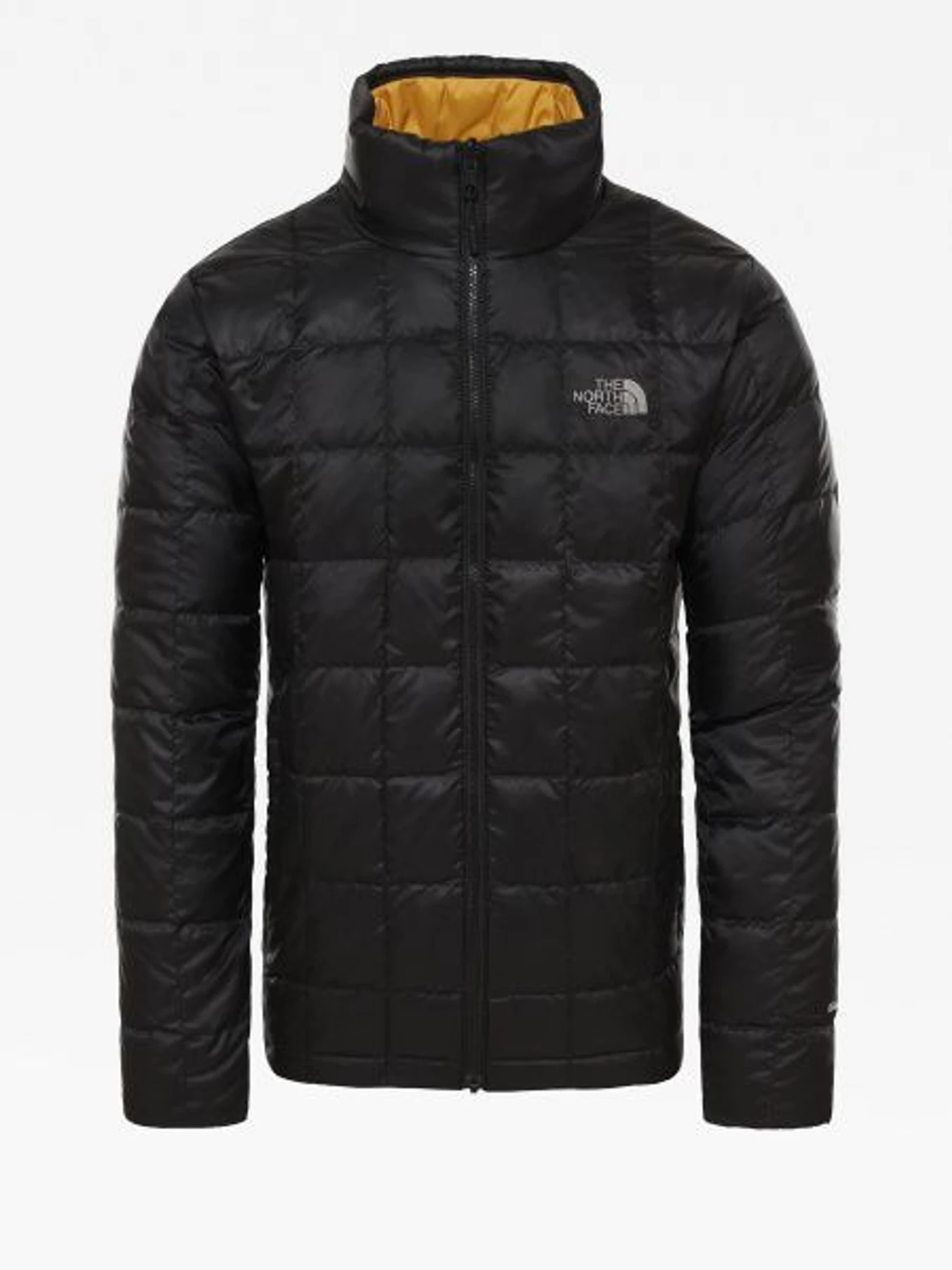Куртки та дублянки The North Face модель NF0A3L1AG801 Фото