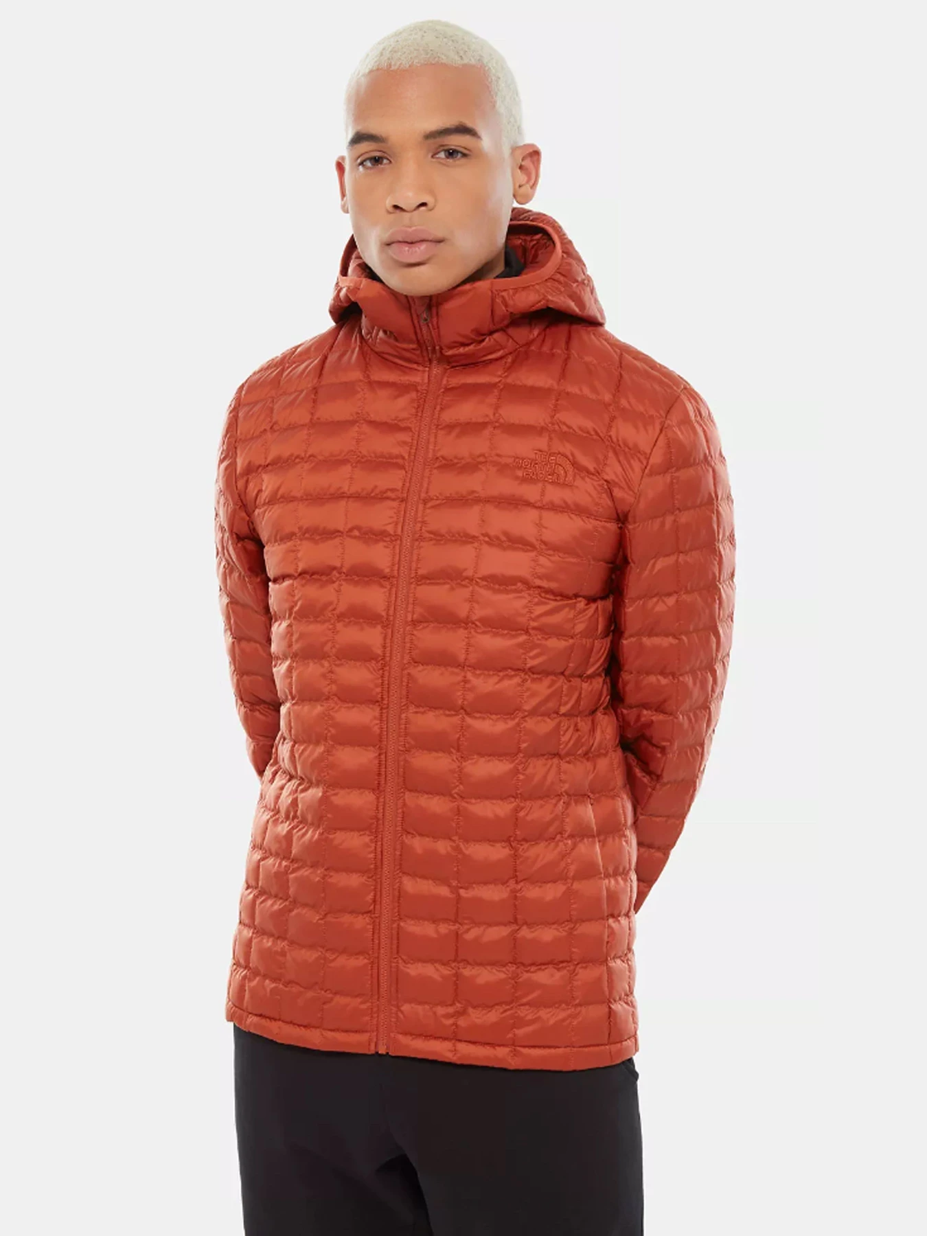 Куртки и дубленки The North Face ThermoBall™ Eco модель NF0A3Y3MJQ31 Фото