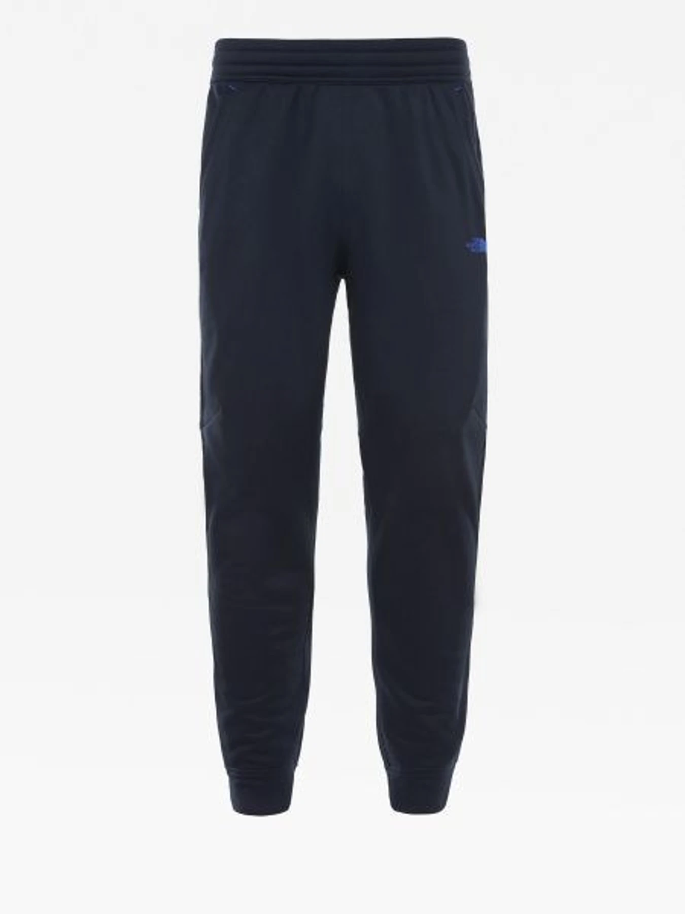 Брюки The North Face Surgent модель NF0A3UWILD71 Фото
