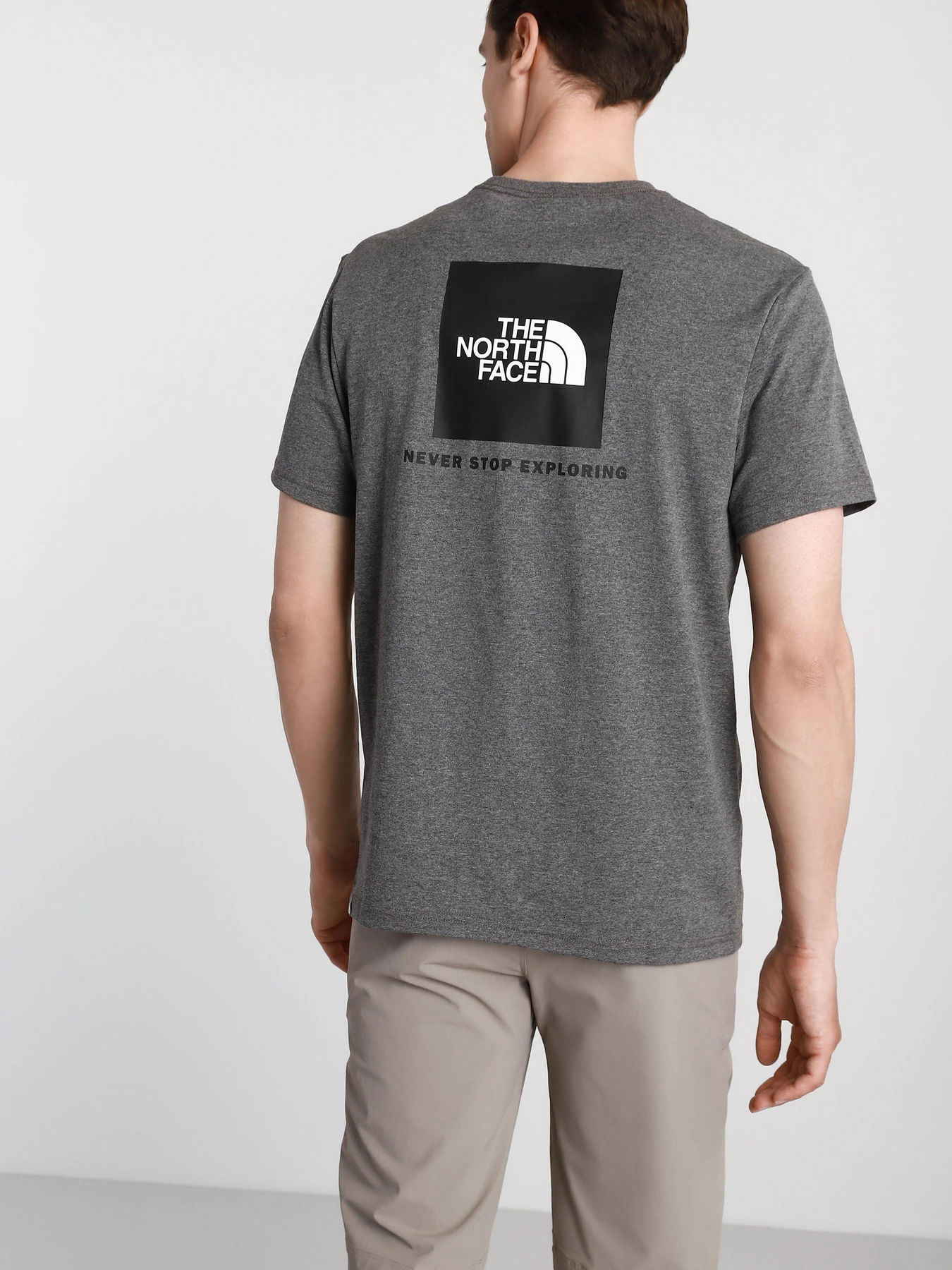 Футболки и поло The North Face REDBOX модель NF0A2TX2JBV1 Футболки и поло The North Face REDBOX модель NF0A2TX2JBV1 Фото