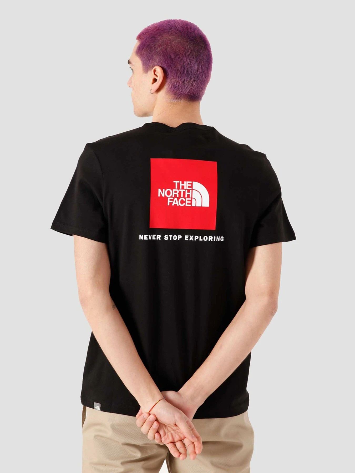 Футболки и поло The North Face REDBOX модель NF0A2TX2JK31 Футболки и поло The North Face REDBOX модель NF0A2TX2JK31 Фото