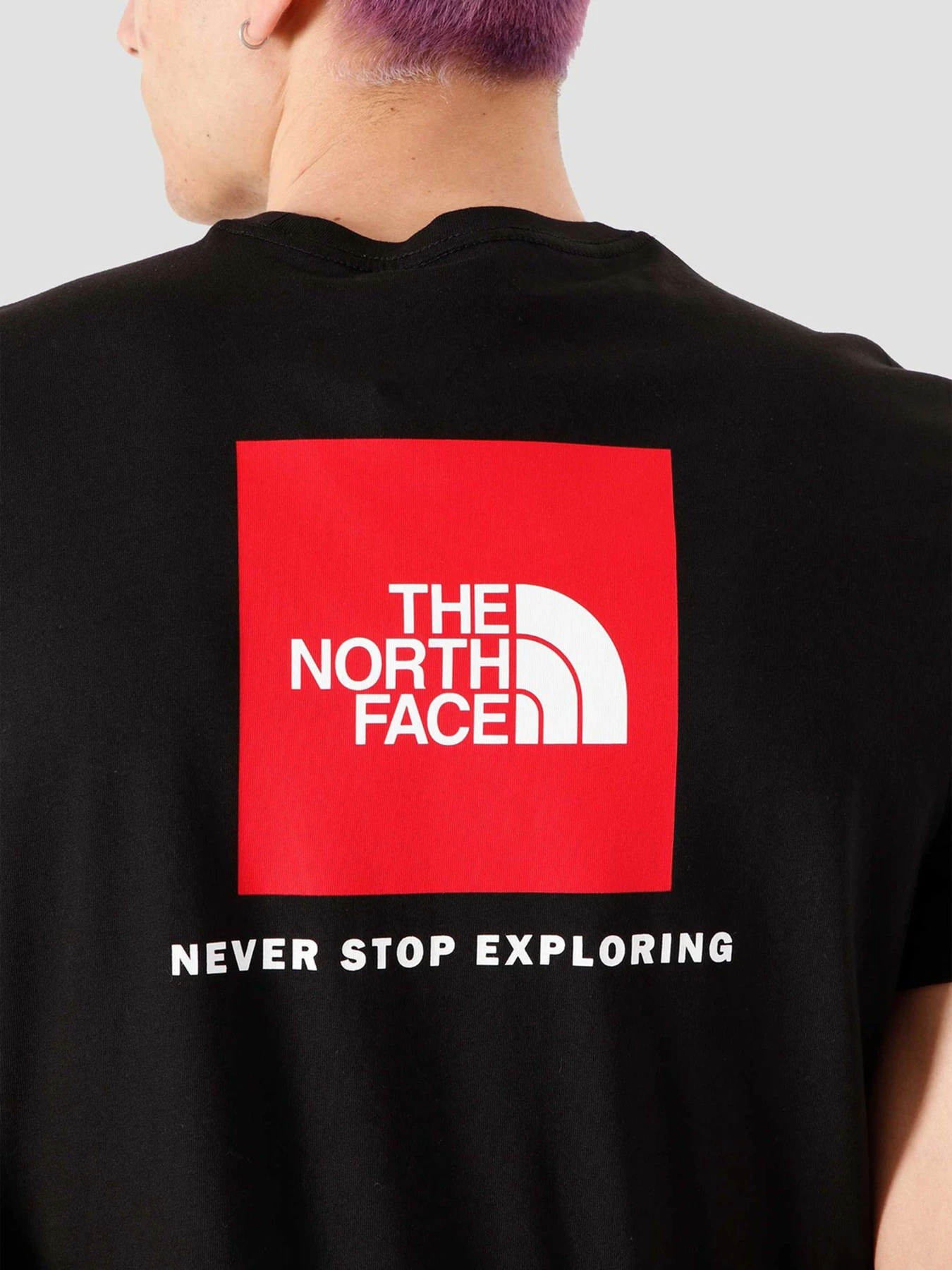 Футболки и поло The North Face REDBOX модель NF0A2TX2JK31 Футболки и поло The North Face REDBOX модель NF0A2TX2JK31 Фото
