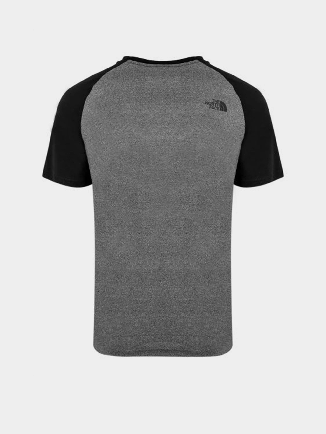 Футболки и поло The North Face Raglan Easy модель NF0A37FVJBV1 Футболки и поло The North Face Raglan Easy модель NF0A37FVJBV1 Фото
