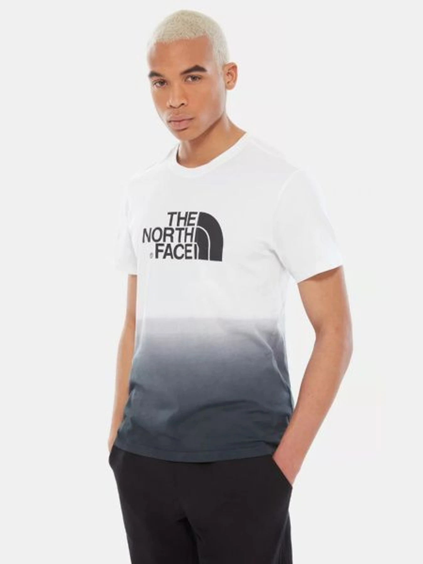Футболки и поло The North Face Dip-Dye S/S Tee модель NF0A3XZCLA91 Фото