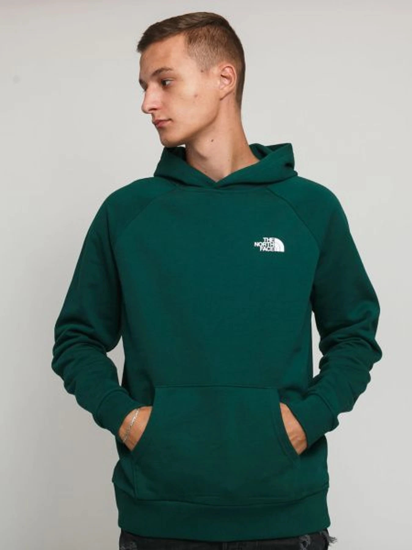 Худі та світшоти The North Face модель NF0A2ZWUN3P1 Фото