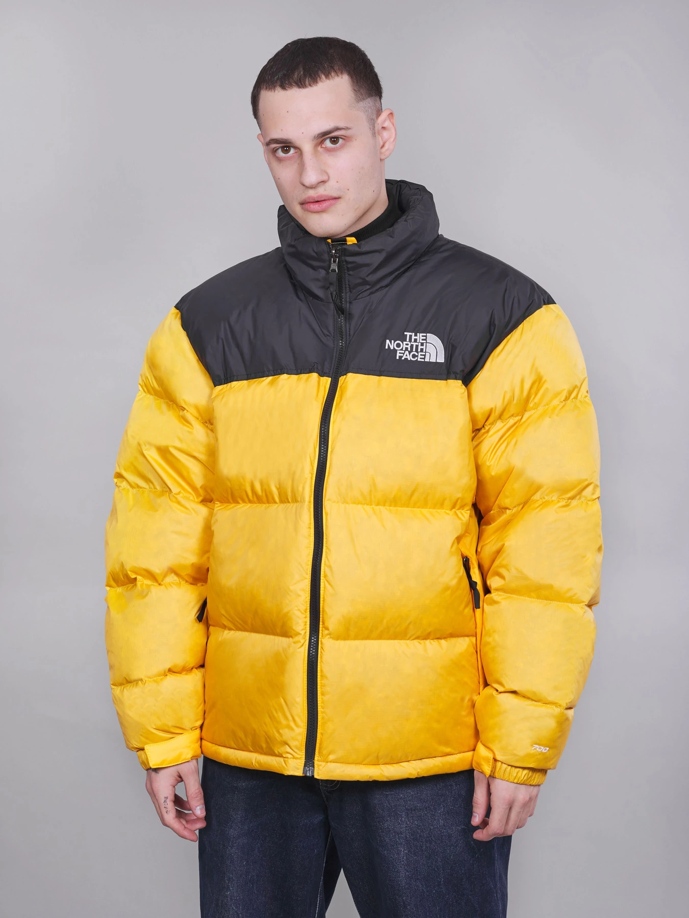 Куртки и дубленки The North Face модель NF0A3C8D70M1 Фото