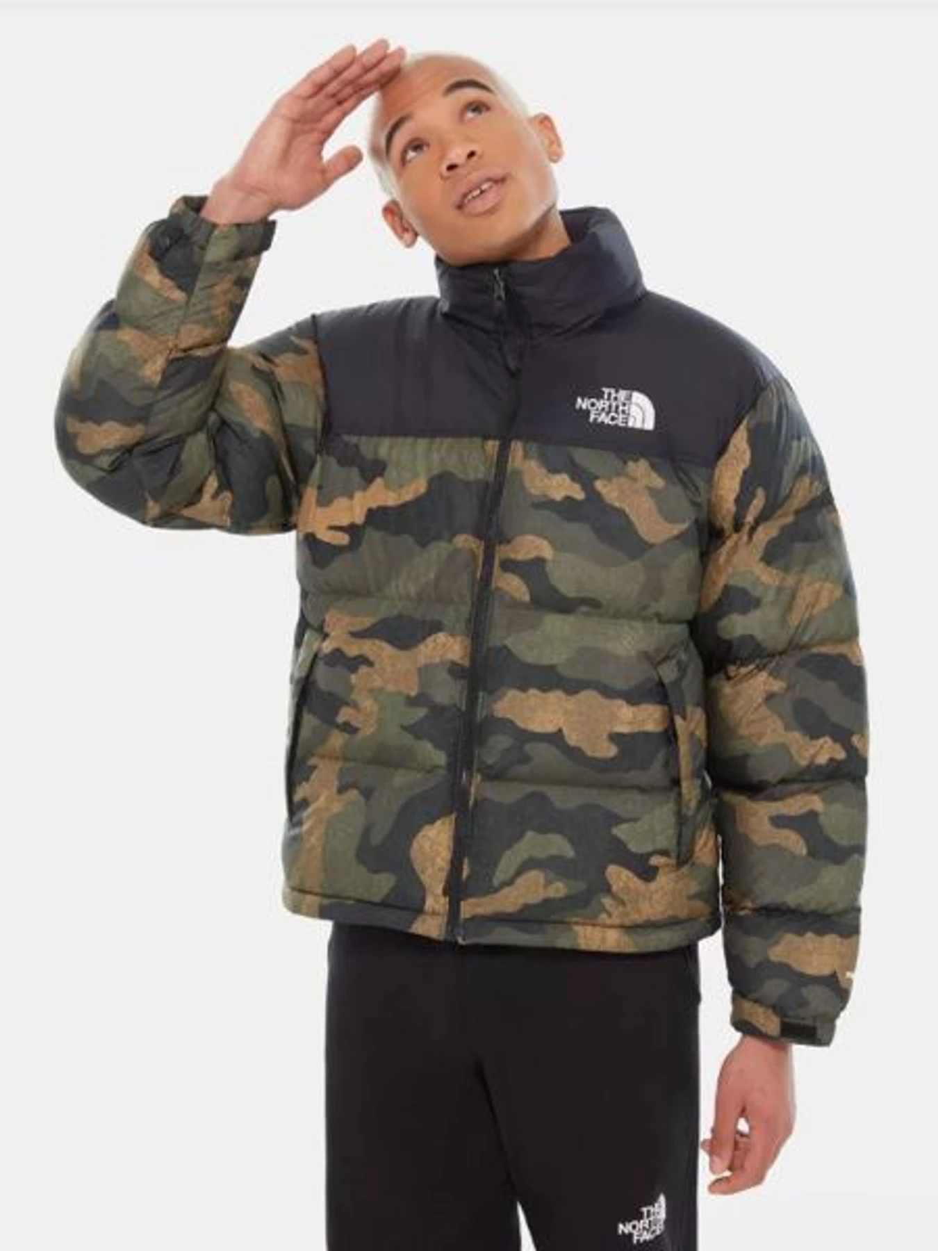 Куртки и дубленки The North Face модель NF0A3C8DF321 Фото