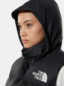Куртки и дубленки The North Face Nuptse Retro 1996 модель NF0A3XEPJK31 Фото