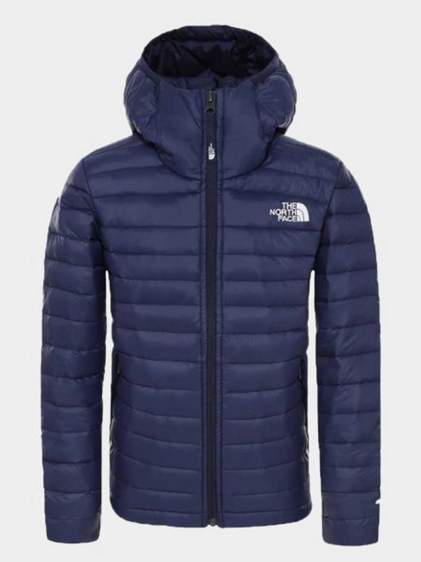 Куртки та дублянки The North Face модель NF0A3NIAJC61 Фото