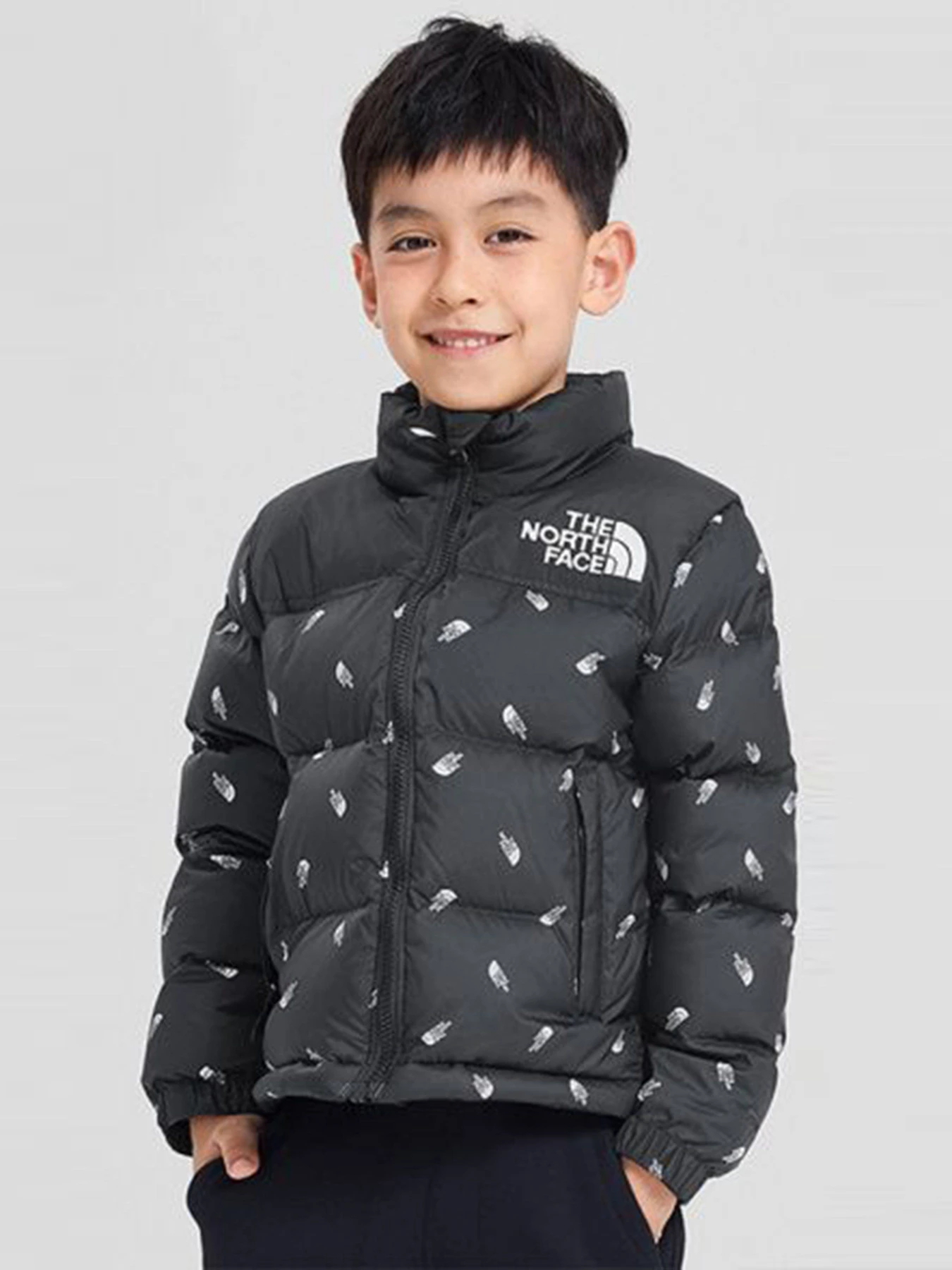 Куртки та дублянки The North Face 1996 Retro Nuptse модель NF0A3NOJ9UT1 Фото