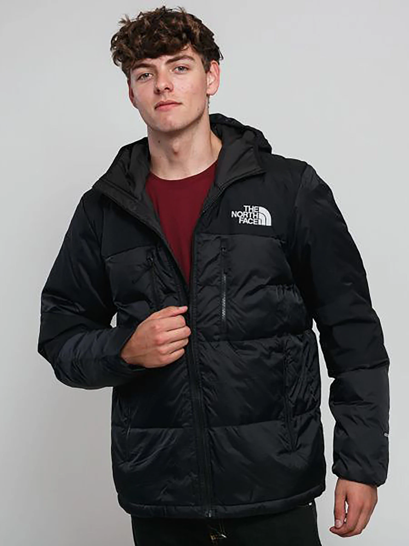 Куртки и дубленки The North Face Himalayan модель NF0A3OEDJK31 Фото