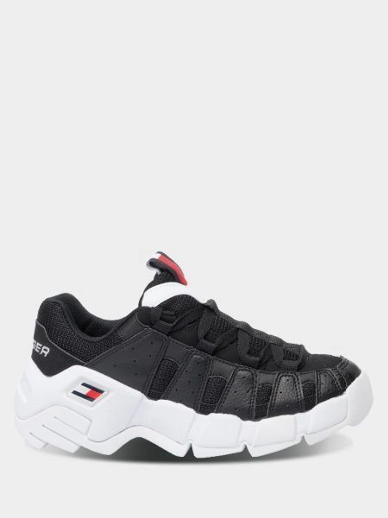 Кроссовки Tommy Hilfiger модель EN0EN00669-BDS Фото