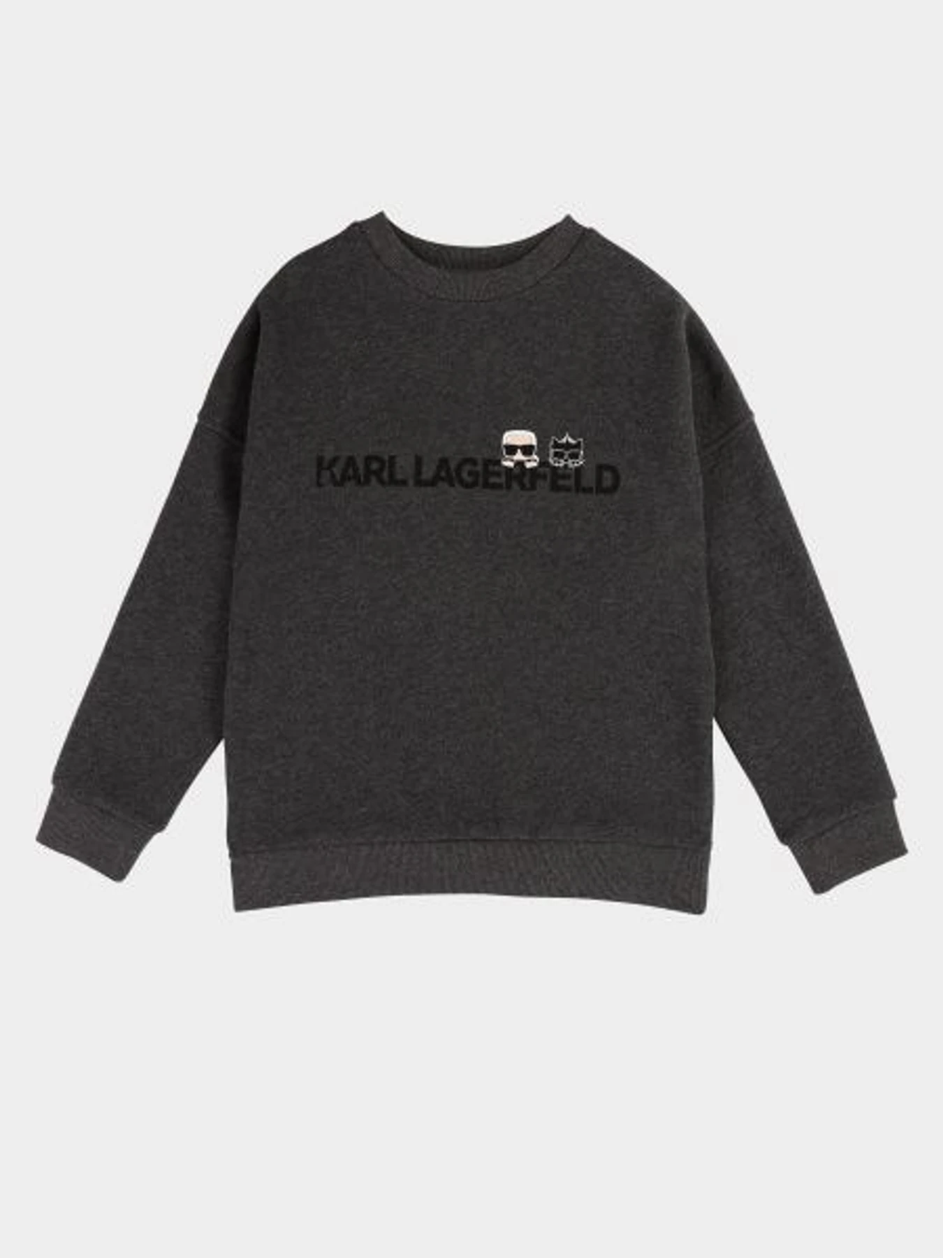 Худі та світшоти Karl Lagerfeld Kids модель Z25201/A48 Фото
