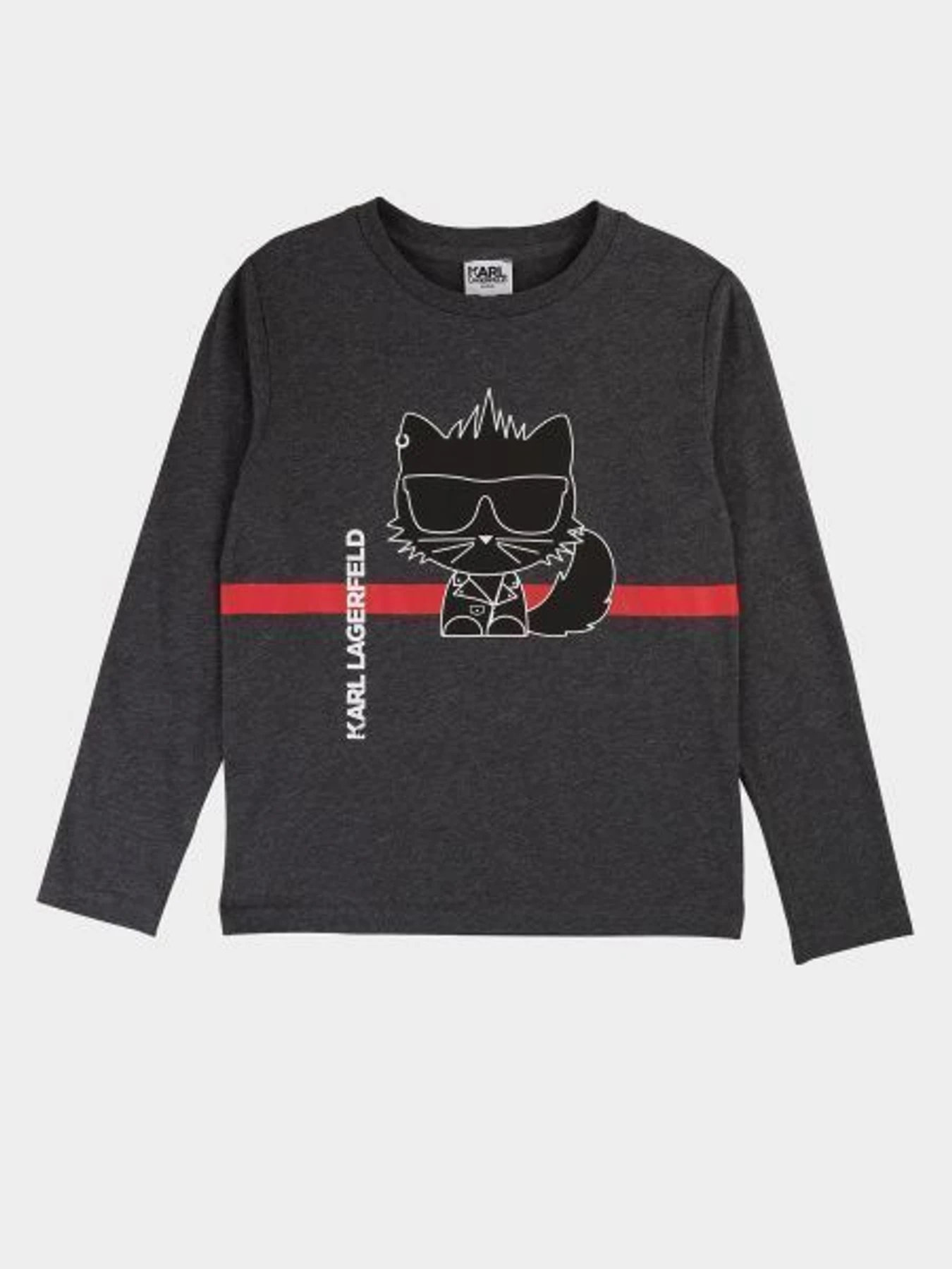 Худі та світшоти Karl Lagerfeld Kids модель Z25206/A48 Фото