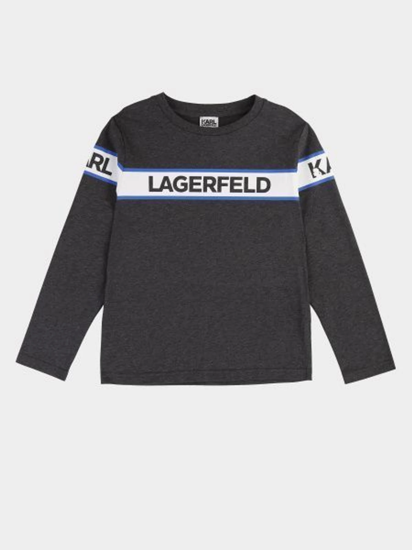 Худі та світшоти Karl Lagerfeld Kids модель Z25215/A48 Фото