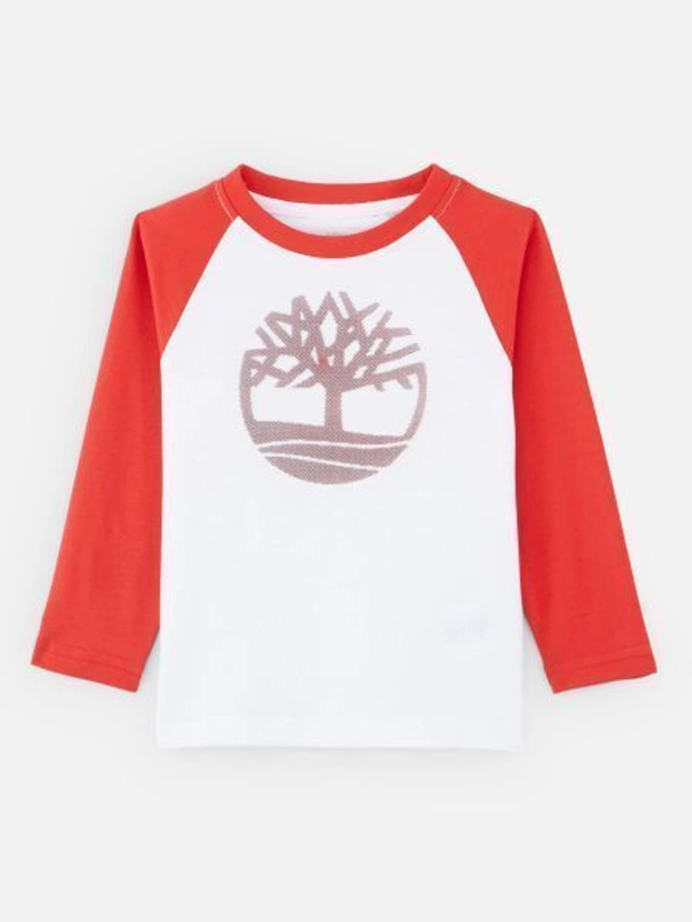 Худи и свитшоты Timberland Kids модель T25Q16/N79 Фото