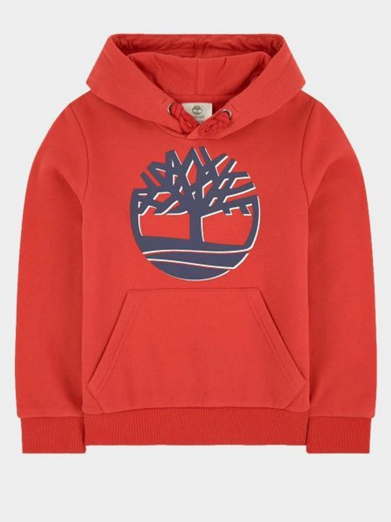 Худі та світшоти Timberland Kids модель T25Q39/970 Фото