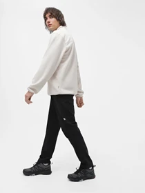 Брюки The North Face Quest модель NF0A4M77JK31 Фото