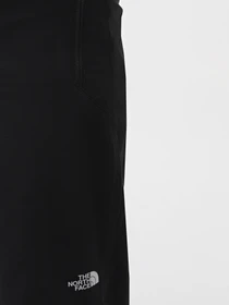 Брюки The North Face Quest модель NF0A4M77JK31 Фото