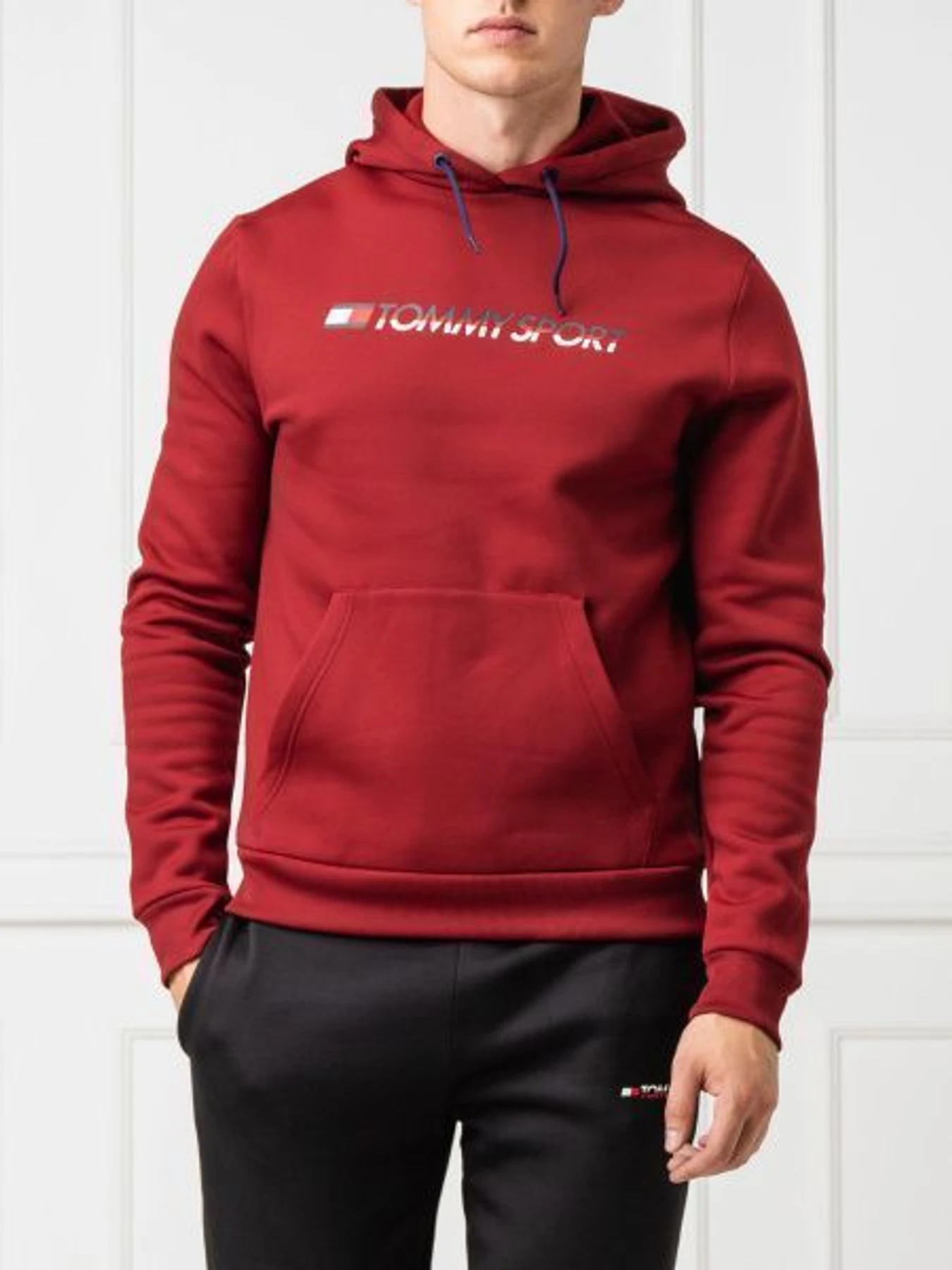Худі та світшоти Tommy Hilfiger модель S20S200279-607 Фото