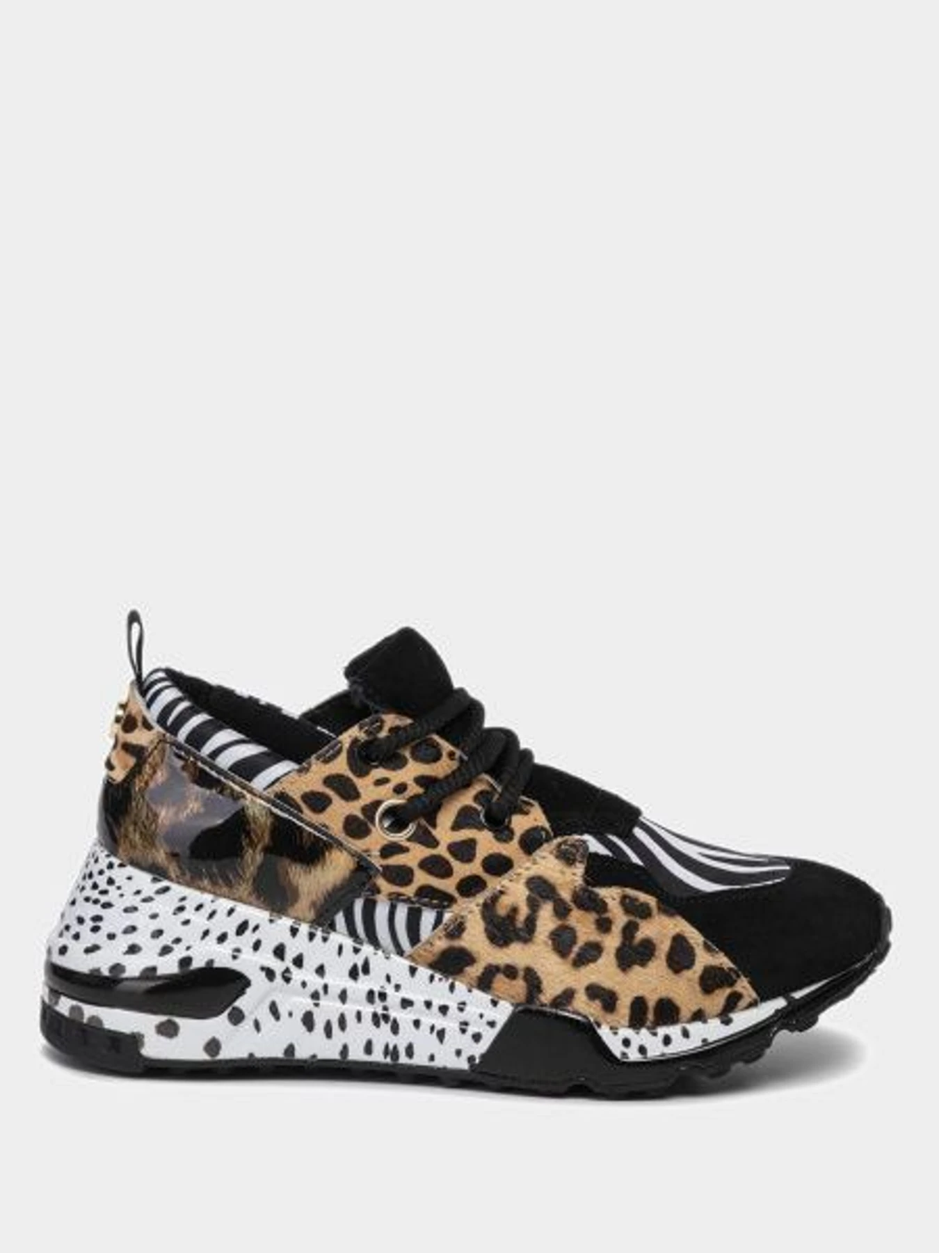 Кросівки Steve Madden модель SM11000185 ZEBRA MULTI Фото