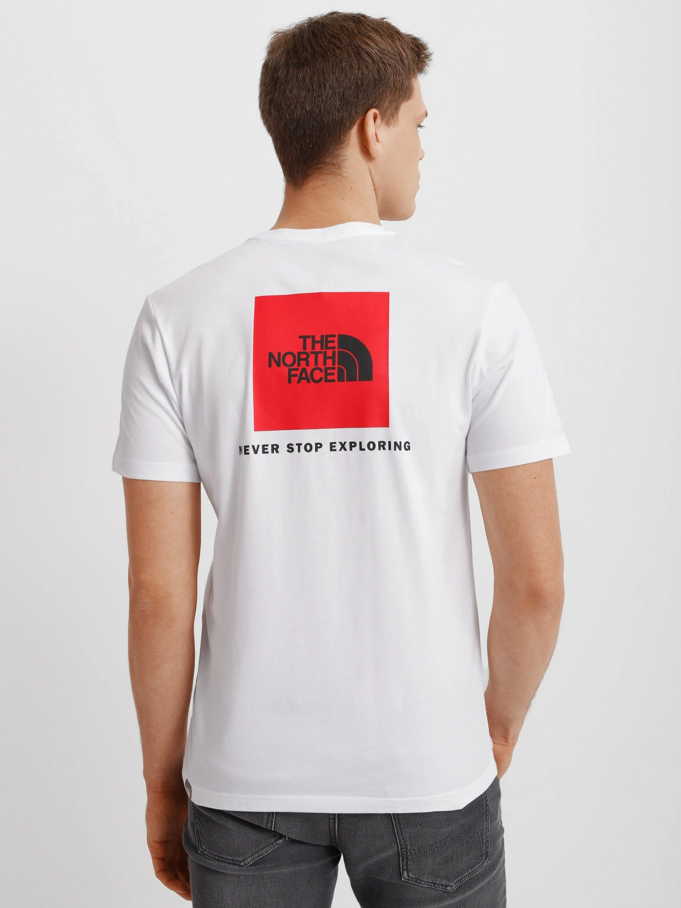 Футболки и поло The North Face REDBOX модель NF0A2TX2FN41 Футболки и поло The North Face REDBOX модель NF0A2TX2FN41 Фото