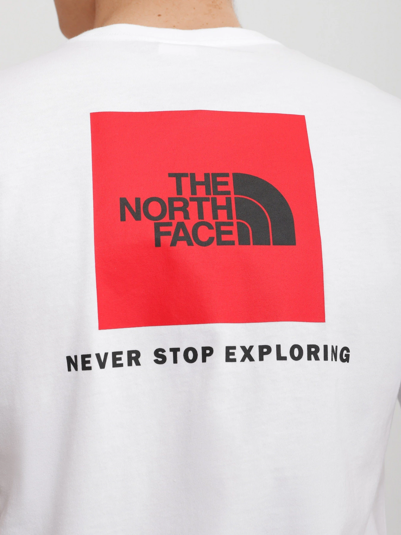 Футболки и поло The North Face REDBOX модель NF0A2TX2FN41 Футболки и поло The North Face REDBOX модель NF0A2TX2FN41 Фото