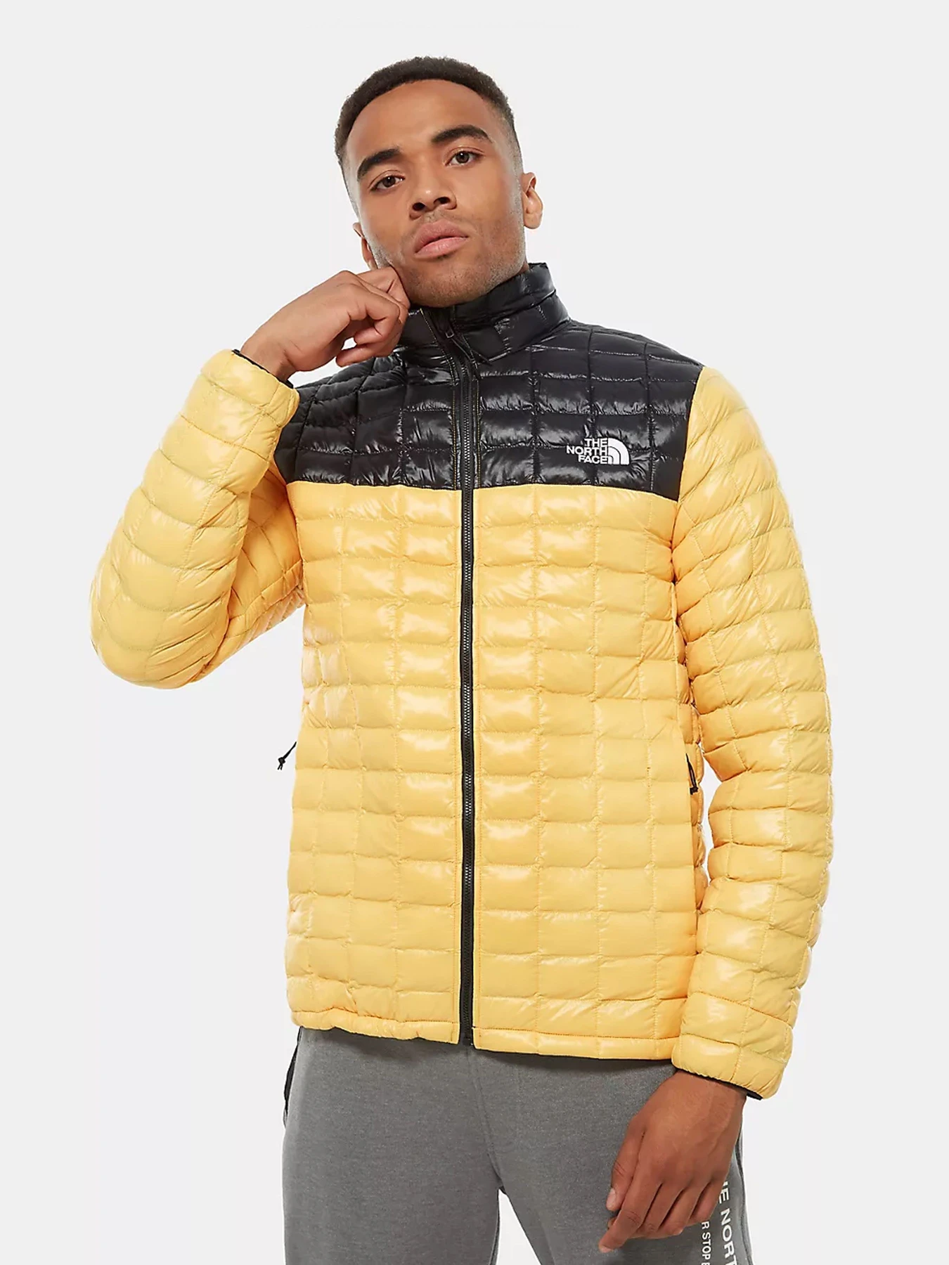 Куртки та дублянки The North Face ThermoBall Eco модель NF0A3Y3NLR01 Фото