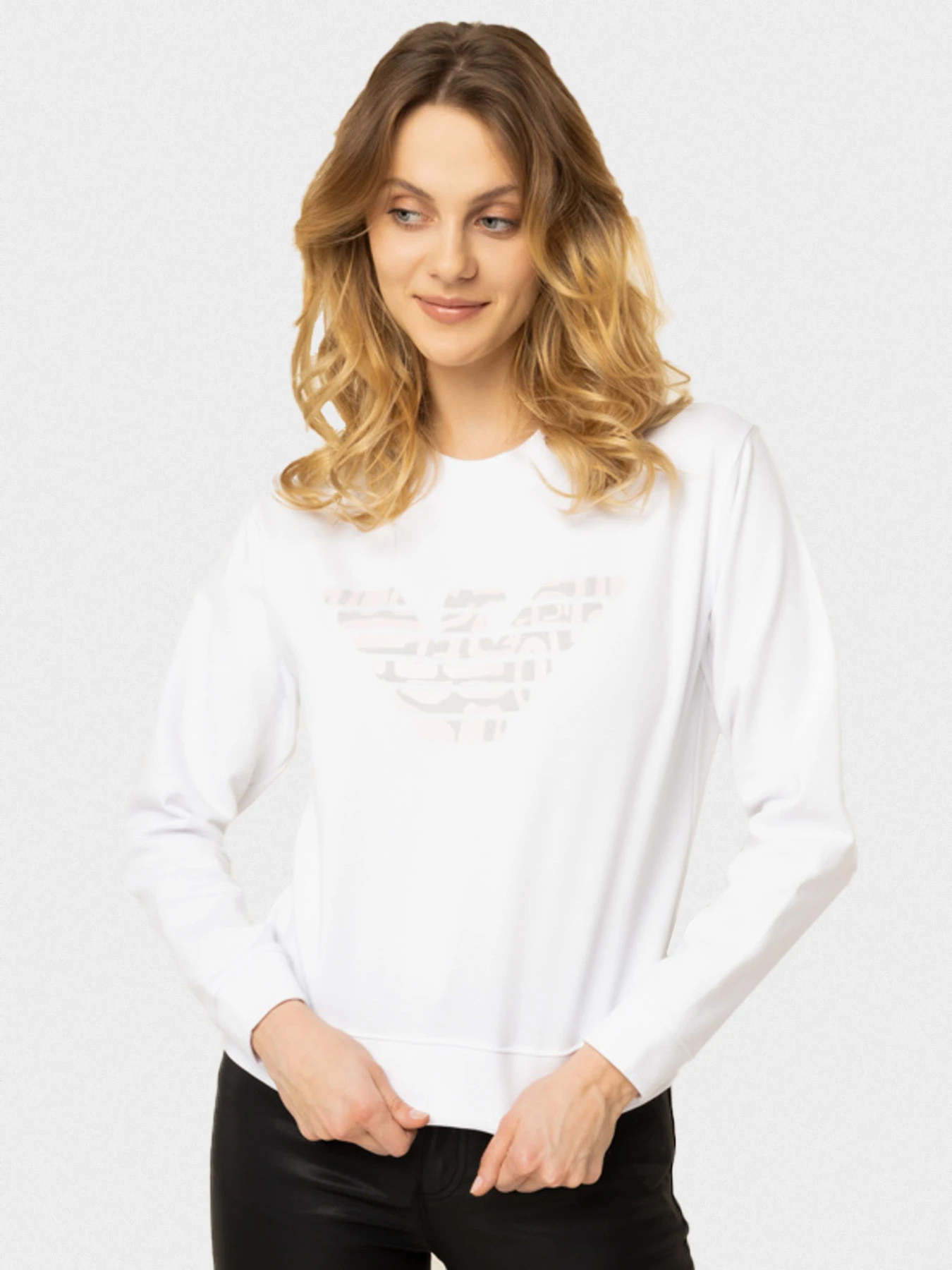 Худі та світшоти Emporio Armani модель 3H2M8Z-2J49Z-0100 Фото