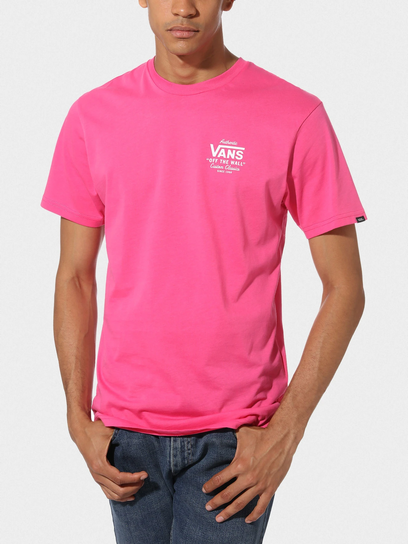 Футболки и поло Vans HOLDER STREET II модель VN0A36O1FS4 Фото