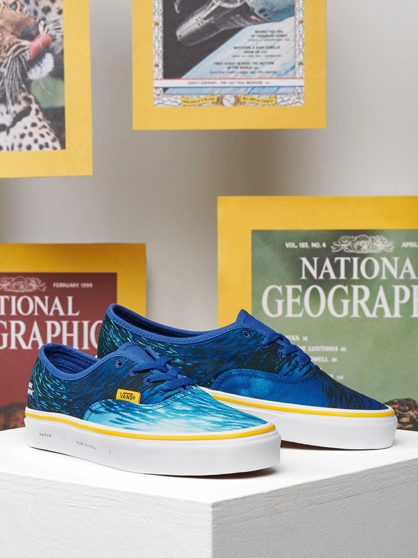 Кеды Vans Authentic модель VN0A2Z5I0021 Фото