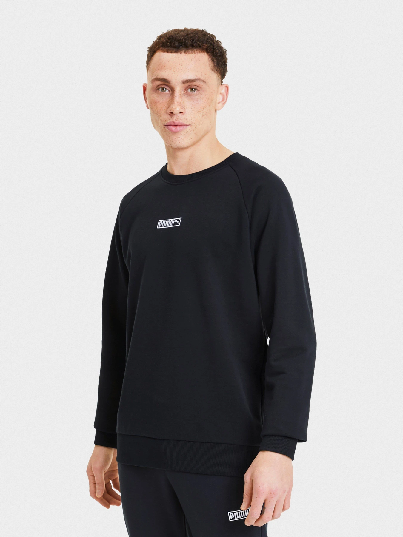 Худи и свитшоты PUMA Classics Logo N.2 Crew модель 59626601 Фото