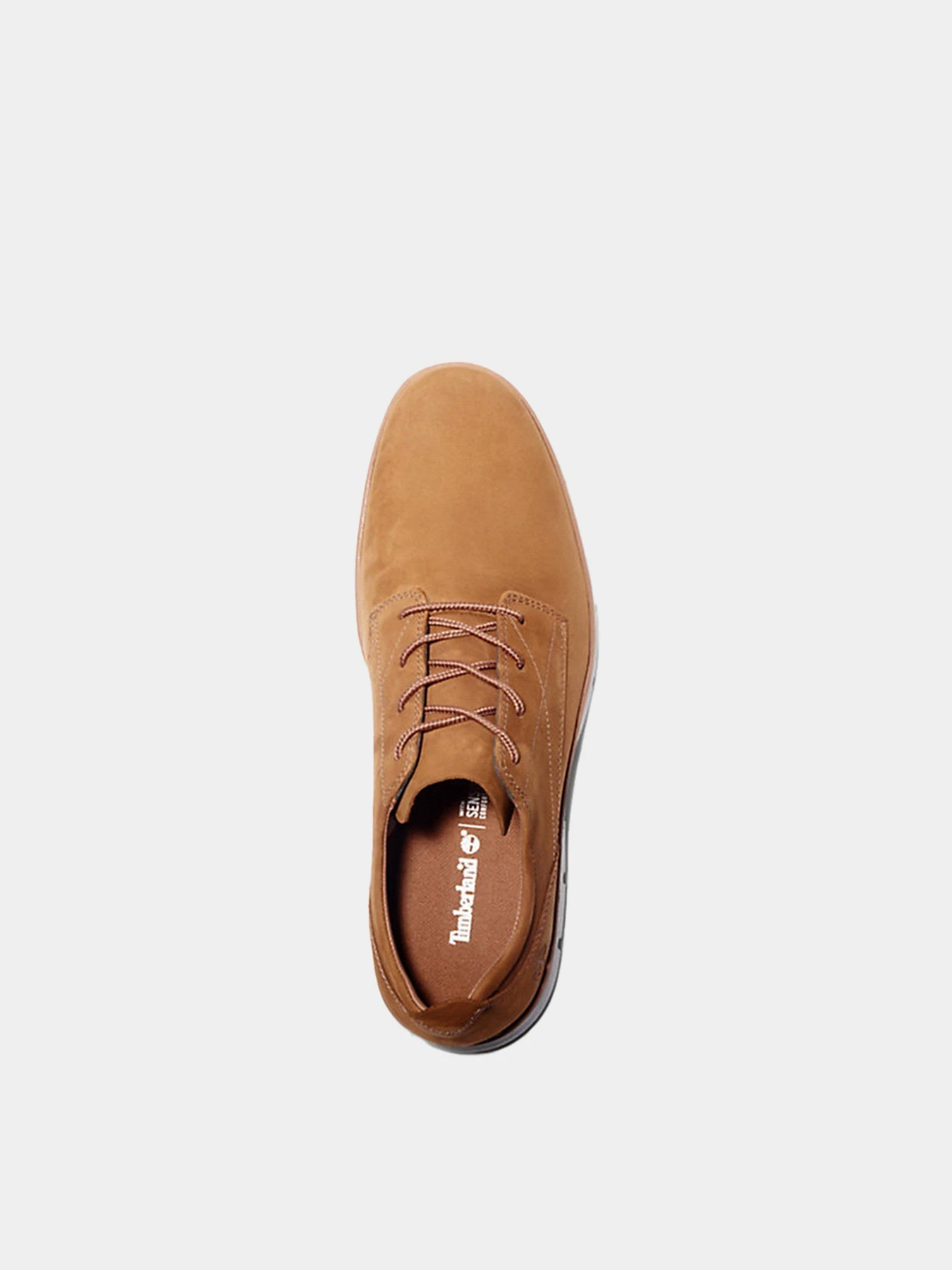 Кросівки Timberland Bradstreet модель TB0A2A3EF13 Фото