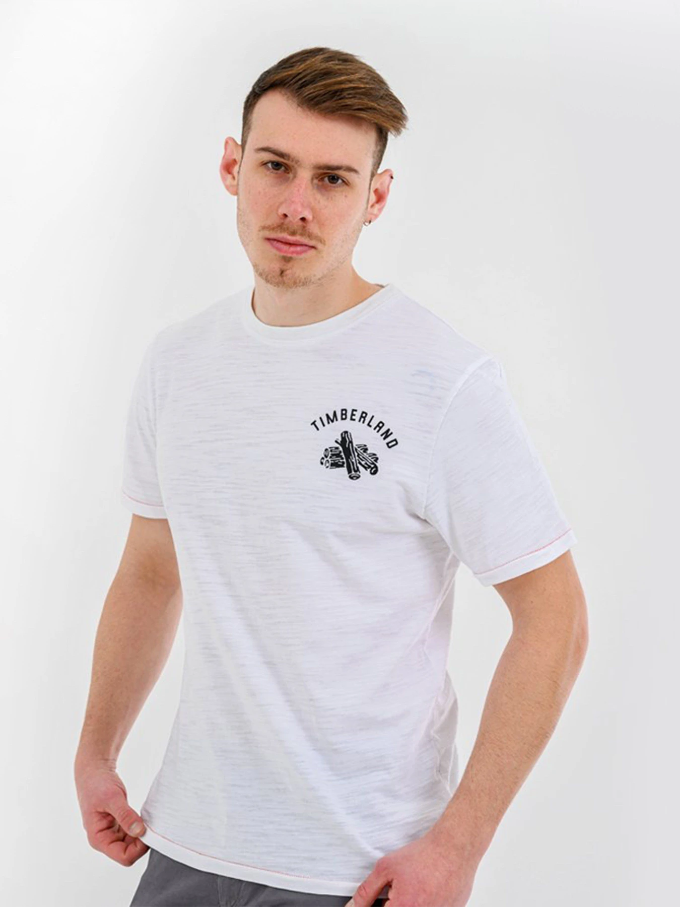 Футболки і поло Timberland Sawyer River Vintage Slub Graphic модель TB0A1Z2S100 Фото