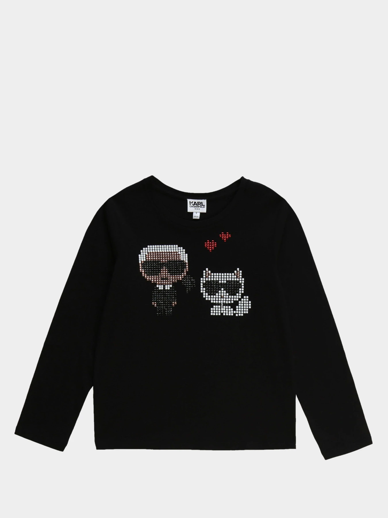 Худі та світшоти Karl Lagerfeld Kids модель Z15248/09B Фото
