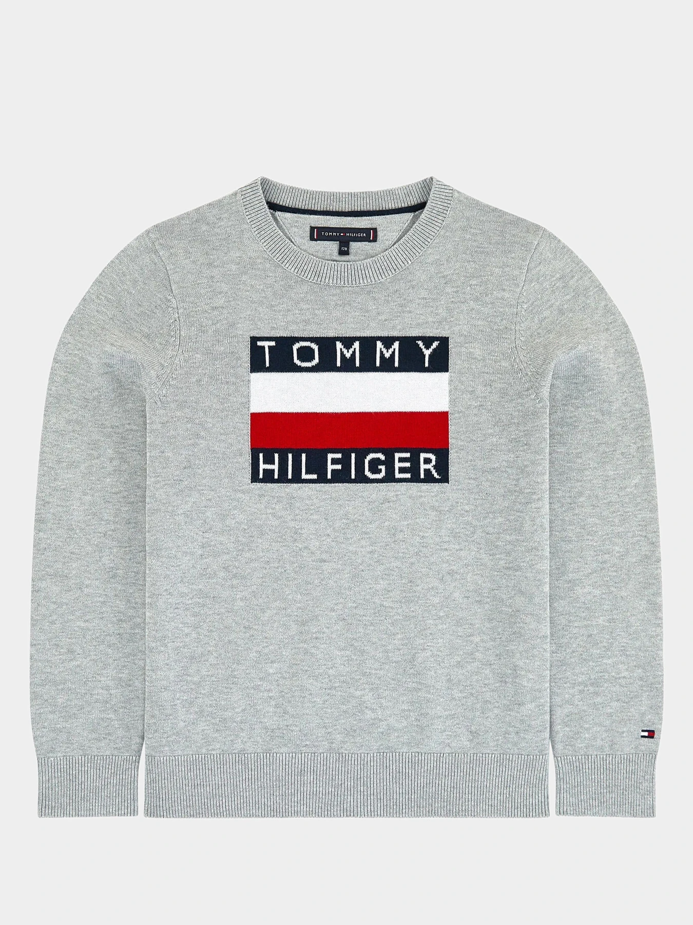 Худи и свитшоты Tommy Hilfiger модель KB0KB05447-P01 Фото