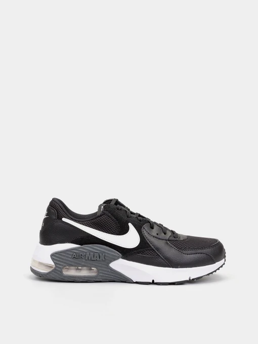 Кросівки NIKE AIR MAX EXCEE модель CD4165-001 Фото