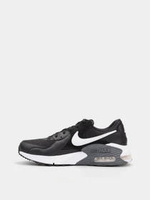 Кроссовки NIKE AIR MAX EXCEE модель CD4165-001 Фото