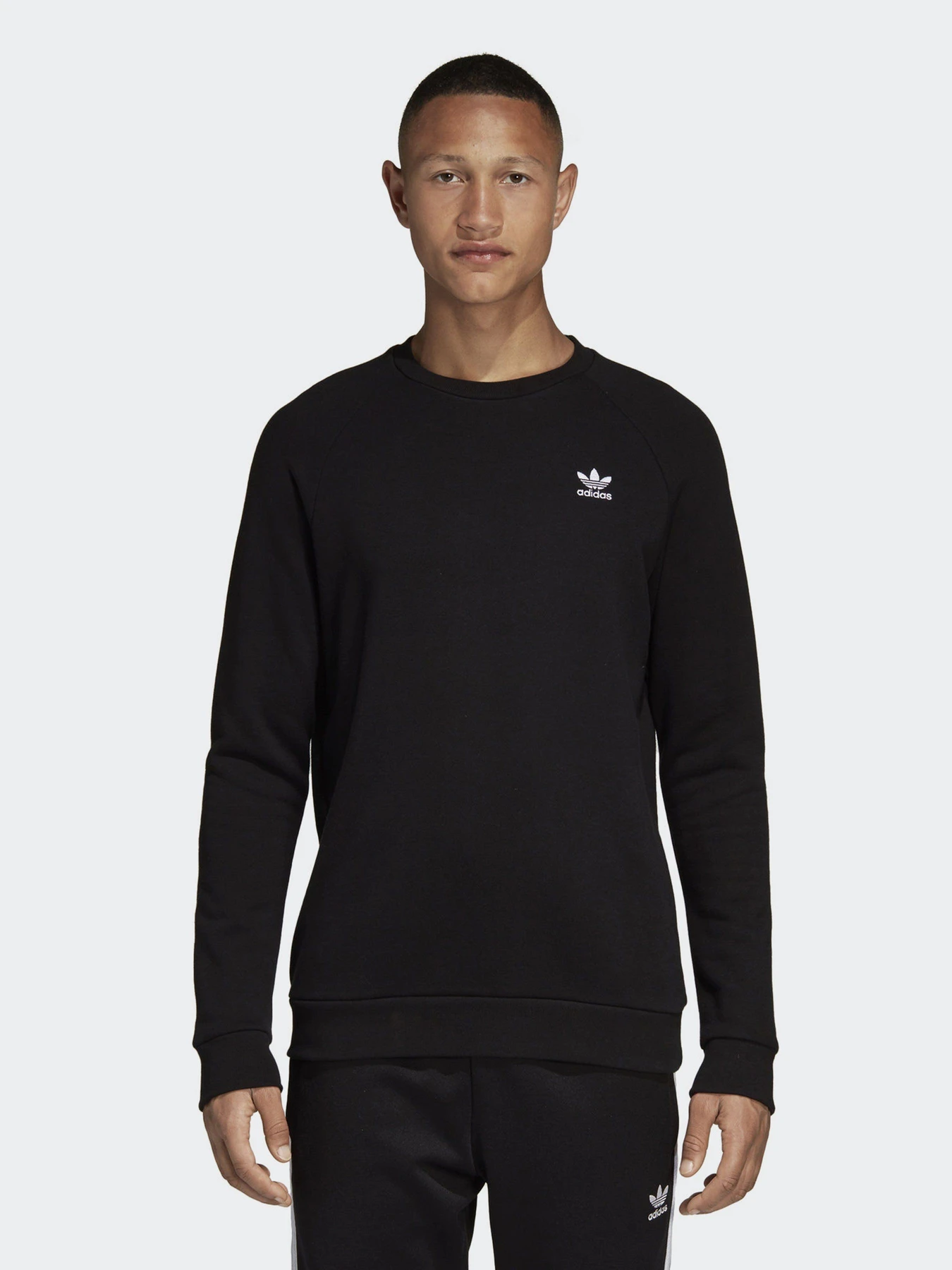 Худі та світшоти Adidas Essentials Originals модель DV1600 Фото