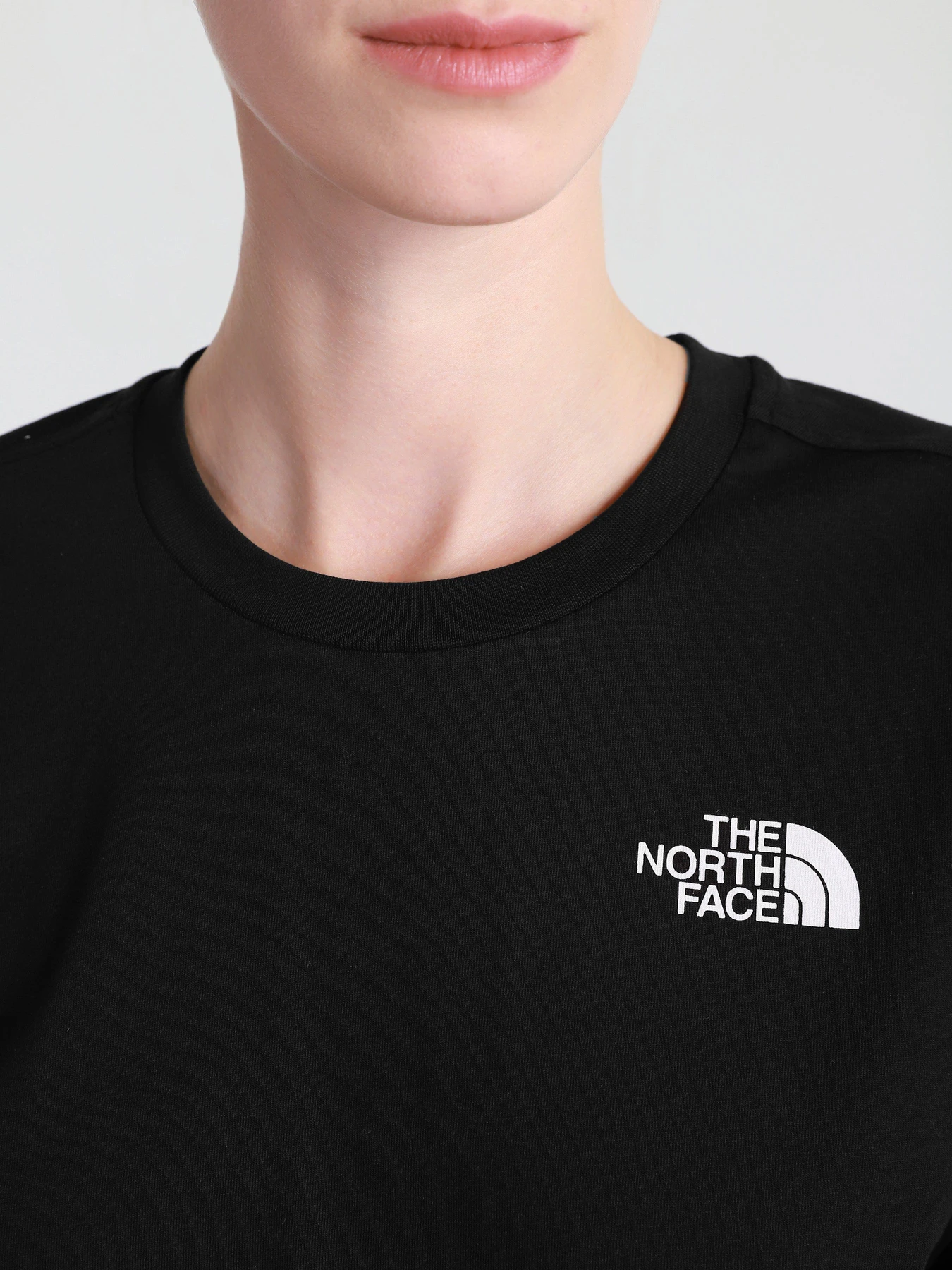 Футболки и поло The North Face Simple Dome модель NF0A4CESJK31 Футболки и поло The North Face Simple Dome модель NF0A4CESJK31 Фото