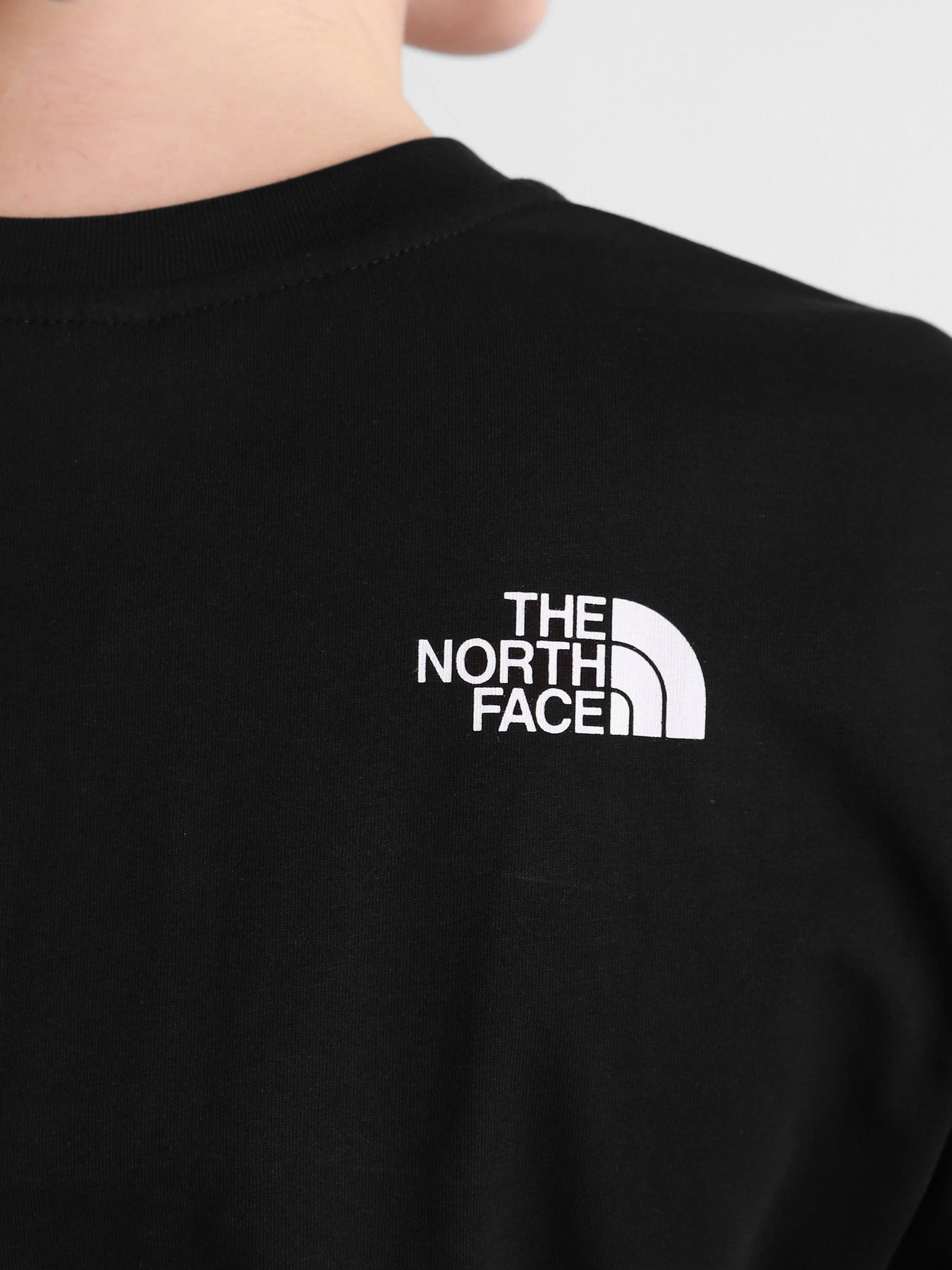 Футболки и поло The North Face Simple Dome модель NF0A4CESJK31 Футболки и поло The North Face Simple Dome модель NF0A4CESJK31 Фото