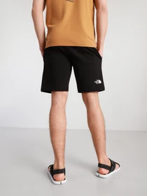 Шорты The North Face STAND SHORT LIGHT модель NF0A3S4EJK31 Фото