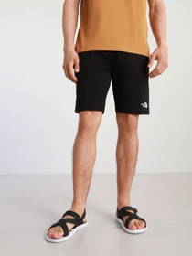 Шорты The North Face STAND SHORT LIGHT модель NF0A3S4EJK31 Фото