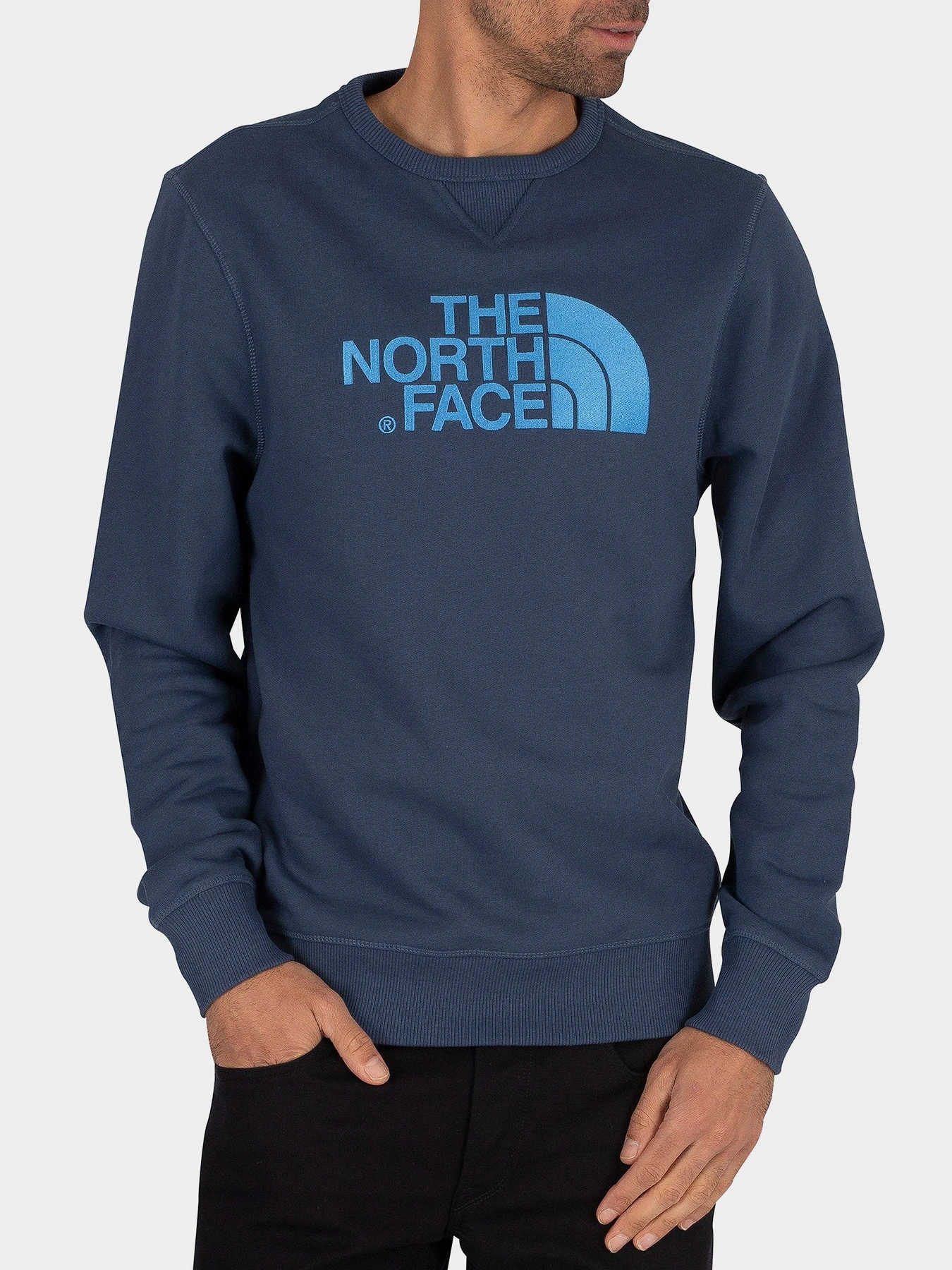 Худі та світшоти The North Face Drew Peak модель NF0A2ZWRN4L1 Фото