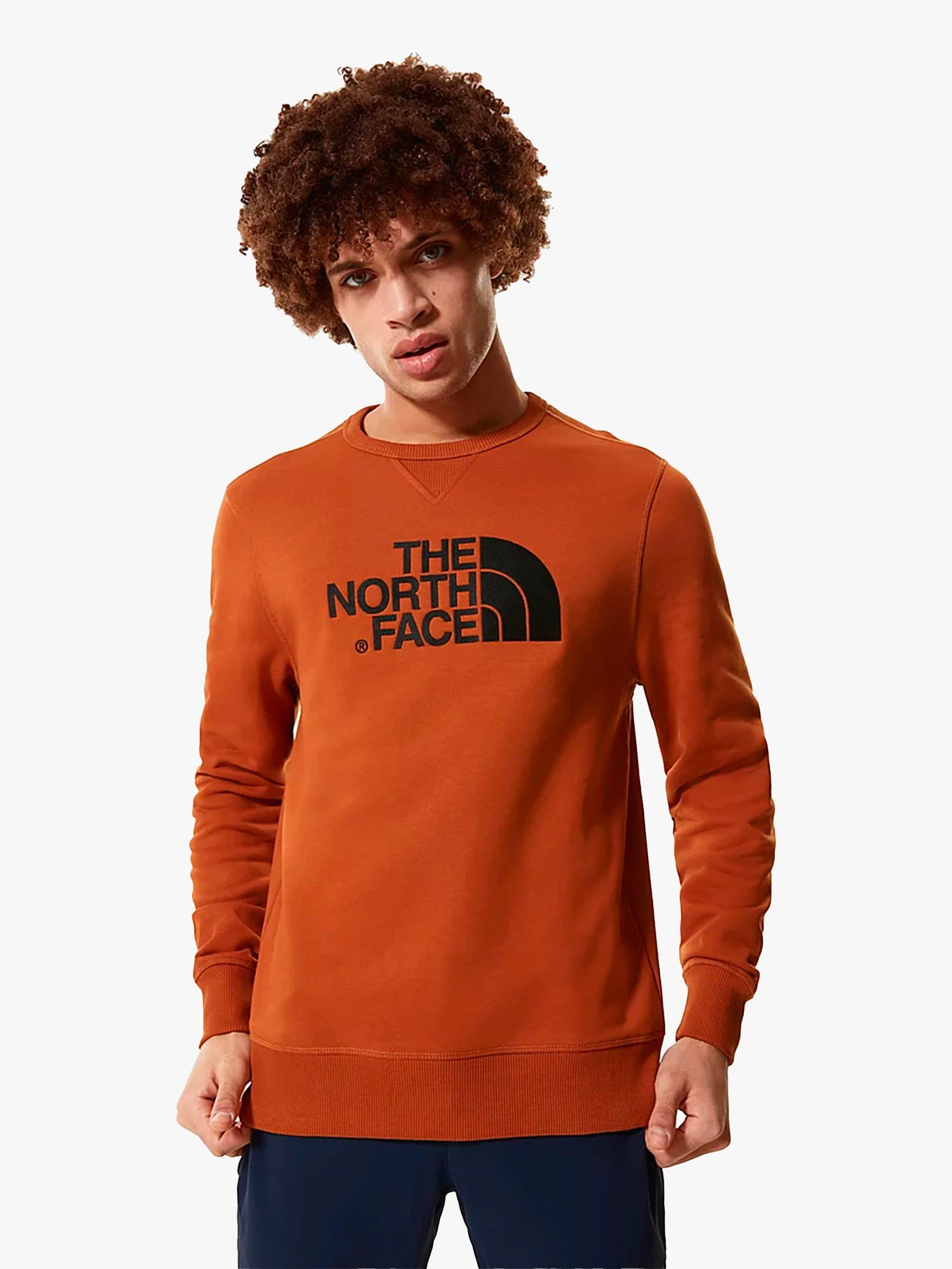 Худі та світшоти The North Face модель NF0A2ZWRUBT1 Фото